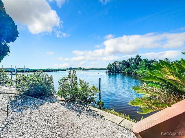 view of water feature with a dock