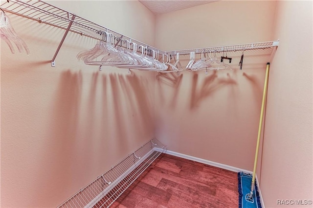 walk in closet featuring wood-type flooring