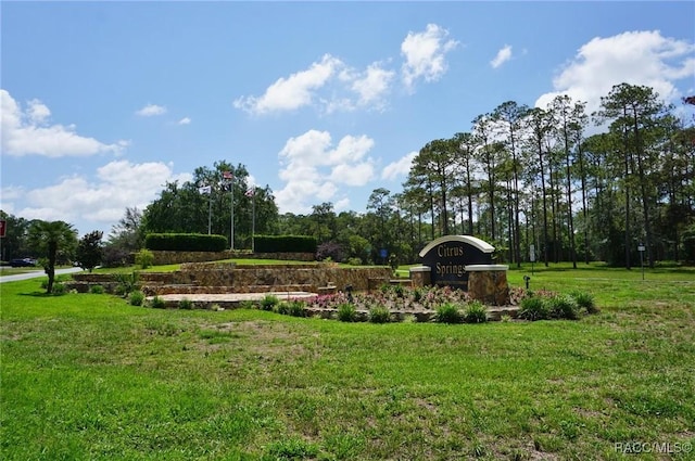 10072 N Conrad Pt, Citrus Springs, FL 34434