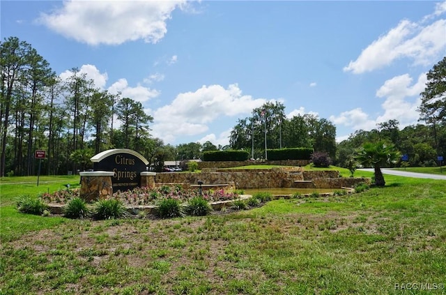 10072 N Conrad Pt, Citrus Springs, FL 34434