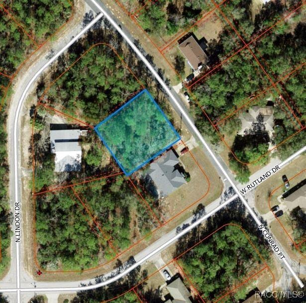 10072 N Conrad Pt, Citrus Springs, FL 34434