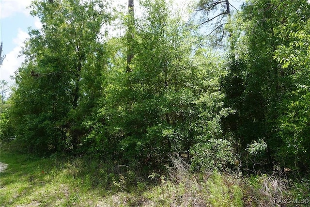 10072 N Conrad Pt, Citrus Springs, FL 34434
