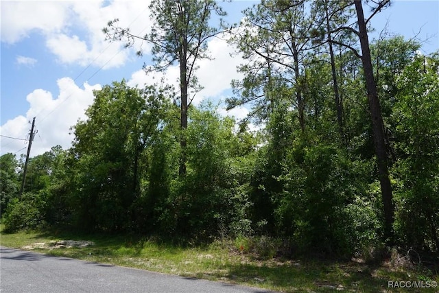 10072 N Conrad Pt, Citrus Springs, FL 34434