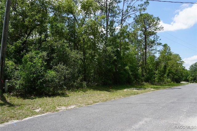 10072 N Conrad Pt, Citrus Springs, FL 34434
