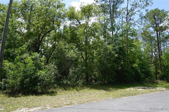 10072 N Conrad Pt, Citrus Springs, FL 34434