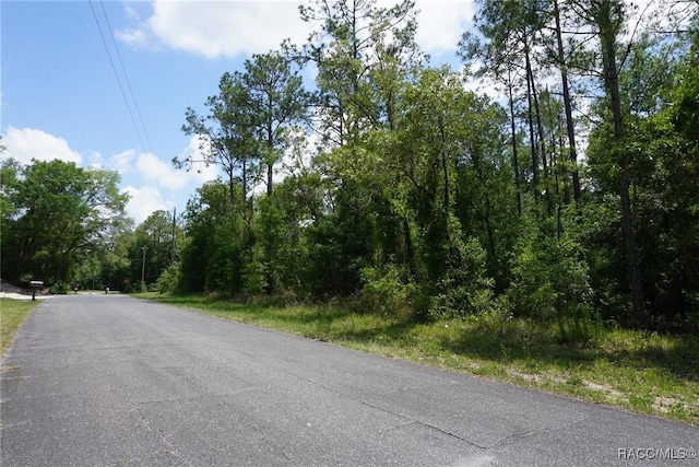 10072 N Conrad Pt, Citrus Springs, FL 34434