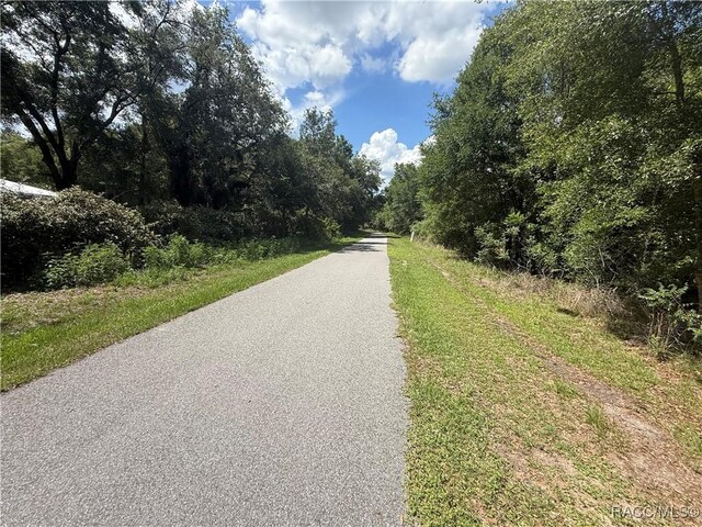 10608 N Ocean Dr, Citrus Springs, FL 34434 - photo 25