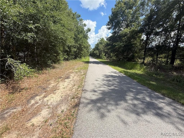 10608 N Ocean Dr, Citrus Springs, FL 34434 - photo 26