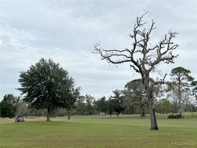 view of community with a yard