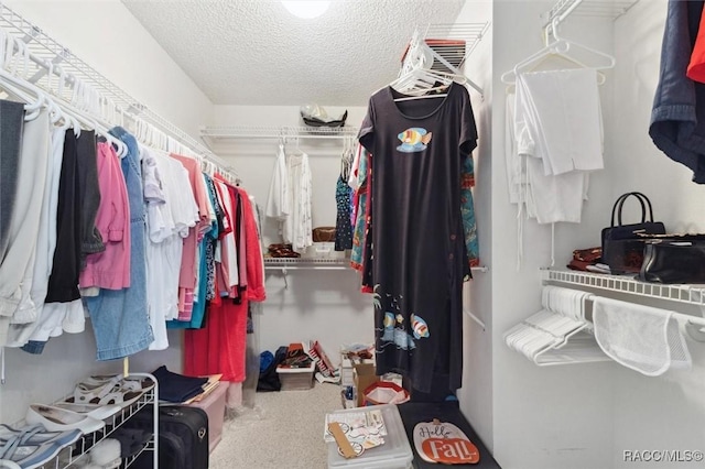 walk in closet with carpet