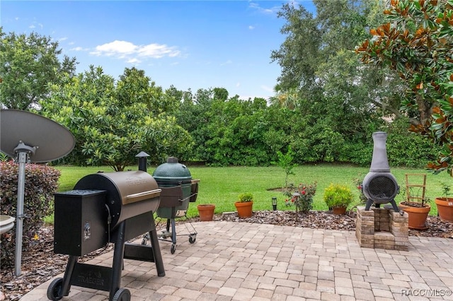 1576 N Eagle Ridge Path, Hernando, FL 34442 - view of patio / terrace featuring area for grilling