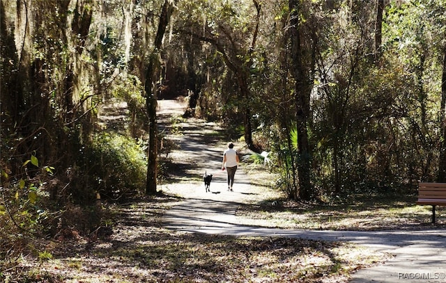 1576 N Eagle Ridge Path, Hernando, FL 34442 - surrounding community