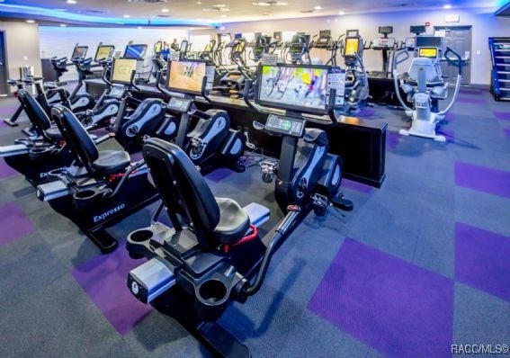 1576 N Eagle Ridge Path, Hernando, FL 34442 - view of exercise room