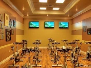 1576 N Eagle Ridge Path, Hernando, FL 34442 - workout area featuring a raised ceiling, wood finished floors, and ornamental molding