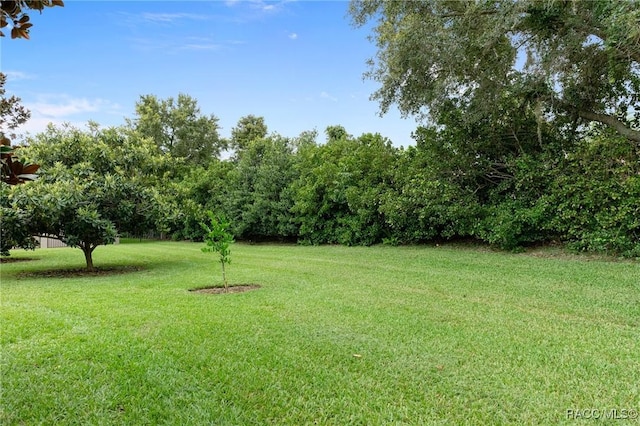 1576 N Eagle Ridge Path, Hernando, FL 34442 - view of grassy yard