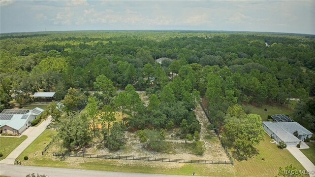 3670 W Cogwood Cir, Beverly Hills, FL 34465 - bird's eye view of a forest