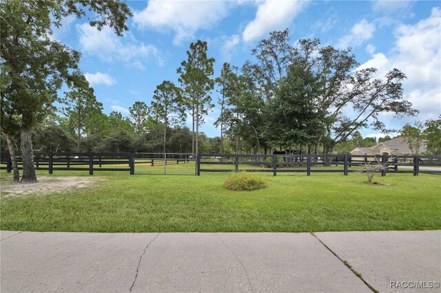 3670 W Cogwood Cir, Beverly Hills, FL 34465 - view of yard
