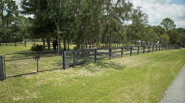3670 W Cogwood Cir, Beverly Hills, FL 34465 - view of yard