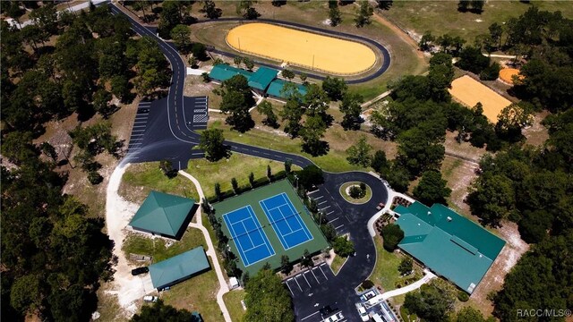 3670 W Cogwood Cir, Beverly Hills, FL 34465 - view of property location featuring a pool