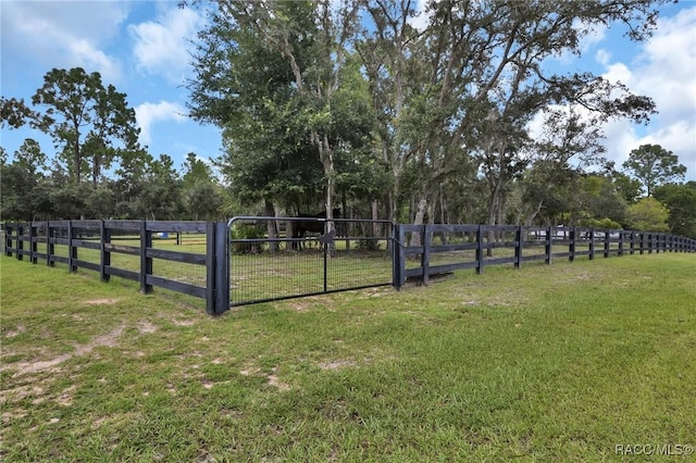 3670 W Cogwood Cir, Beverly Hills, FL 34465 - view of yard