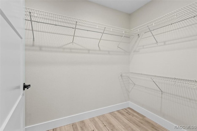 2828 E Celina St, Inverness, FL 34453 - walk in closet with wood finished floors