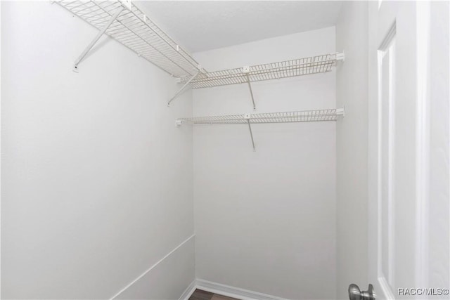 9019 E Gulf To Lake Hwy, Inverness, FL 34450 - view of spacious closet