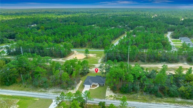 2894 W Rutland Dr, Citrus Springs, FL 34433 - photo 30
