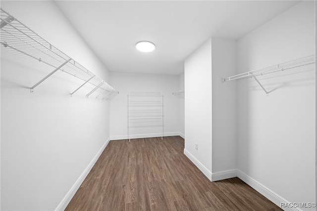 walk in closet with dark hardwood / wood-style flooring