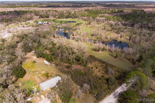 5499 E Stokes Ferry Rd, Hernando FL, 34442 land for sale