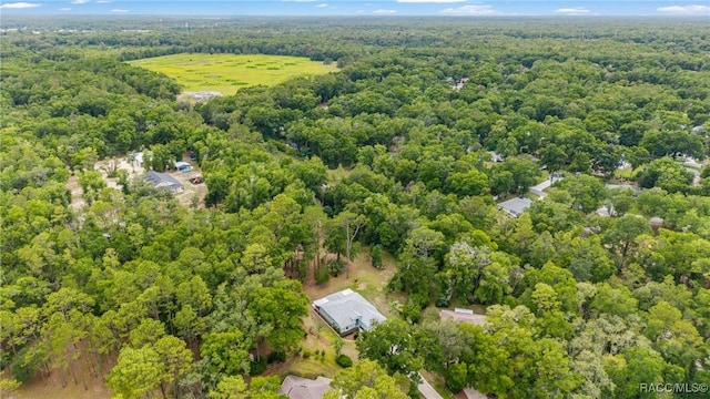 19028 SW 101st Pl, Dunnellon, FL 34432 - view of property location featuring a forest