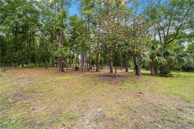 19028 SW 101st Pl, Dunnellon, FL 34432 - view of yard