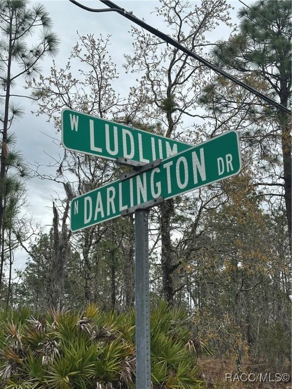 1042 W Ludlum St, Citrus Springs FL, 34434 land for sale