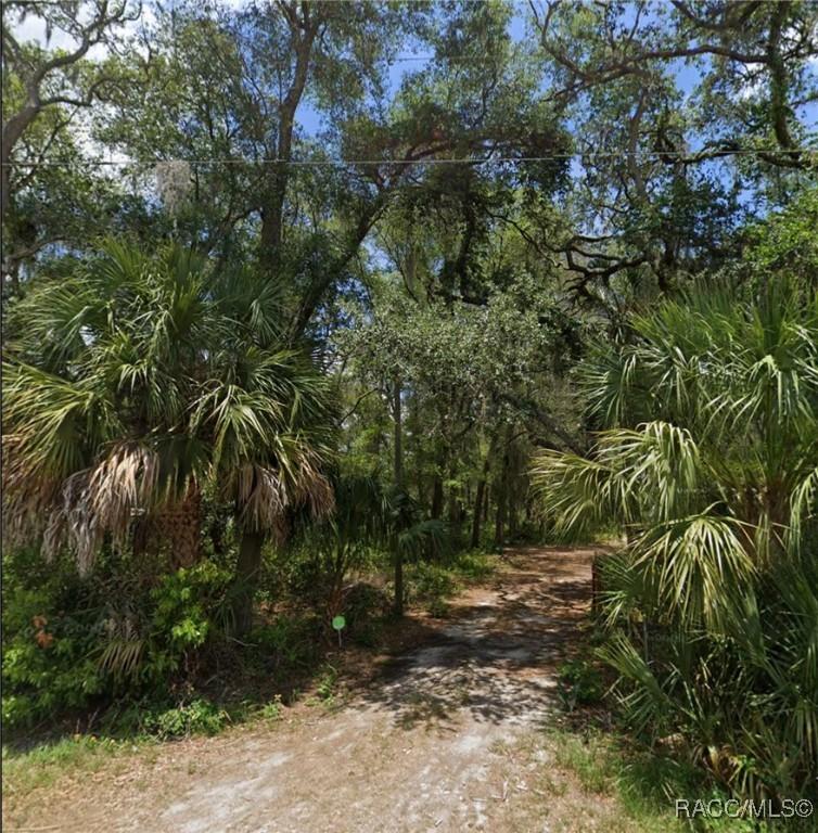 4523 E Harvard Dr, Hernando, FL 34442