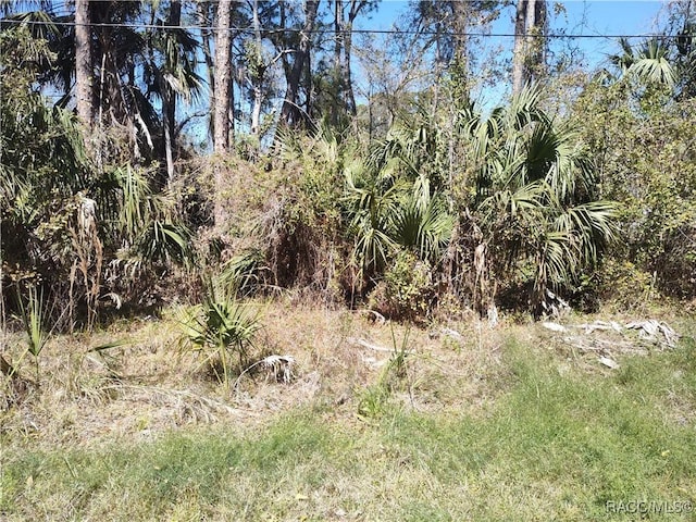 8213 W Ox Eye Pl, Homosassa FL, 34448 land for sale