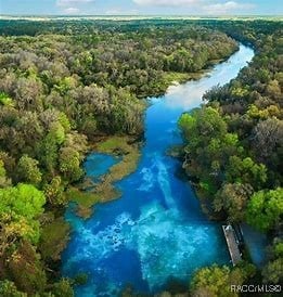 aerial view featuring a forest view and a water view