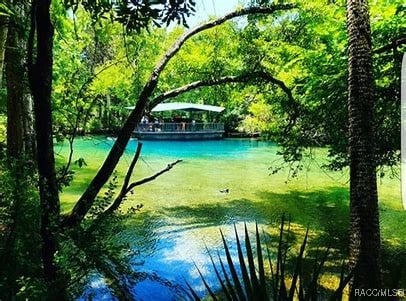 exterior space with a wooded view, a lawn, and a water view