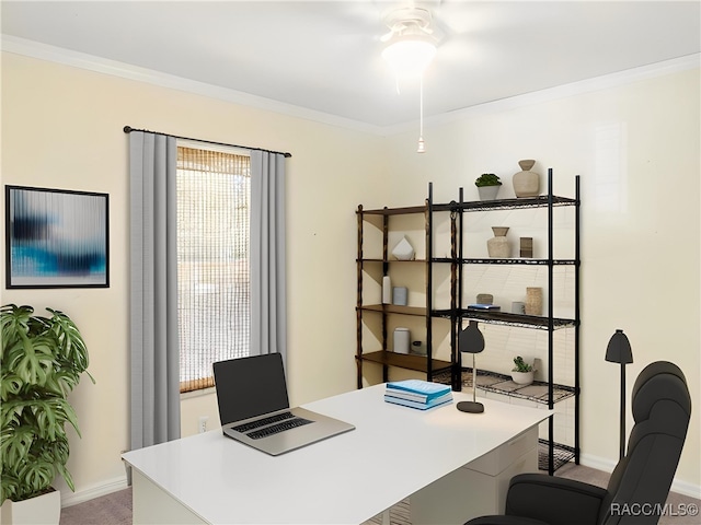 8599 N Messina Loop, Crystal River, FL 34428 - office area with a ceiling fan, crown molding, light colored carpet, and baseboards