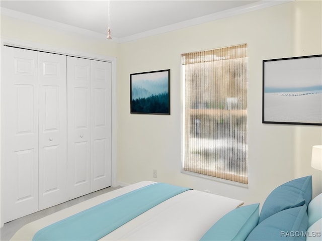 8599 N Messina Loop, Crystal River, FL 34428 - bedroom with multiple windows, a closet, and ornamental molding