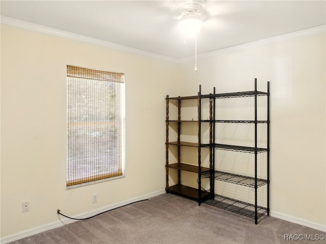 8599 N Messina Loop, Crystal River, FL 34428 - unfurnished bedroom featuring carpet flooring, baseboards, and crown molding