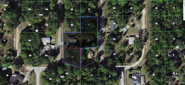 8599 N Messina Loop, Crystal River, FL 34428 - aerial map of property and surrounding area