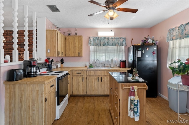 kitchen featuring sink, light hardwood / wood-style flooring, black fridge, and electric stove