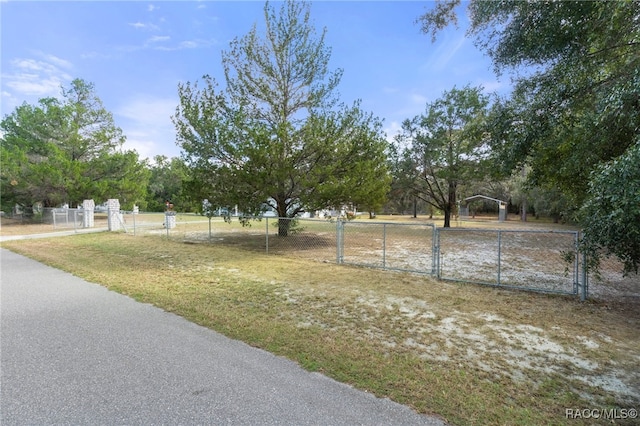 view of yard with a rural view