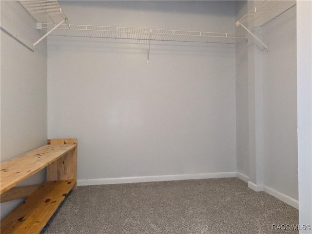 9781 E Goldfinch Ln, Inverness, FL 34450 - spacious closet with carpet floors
