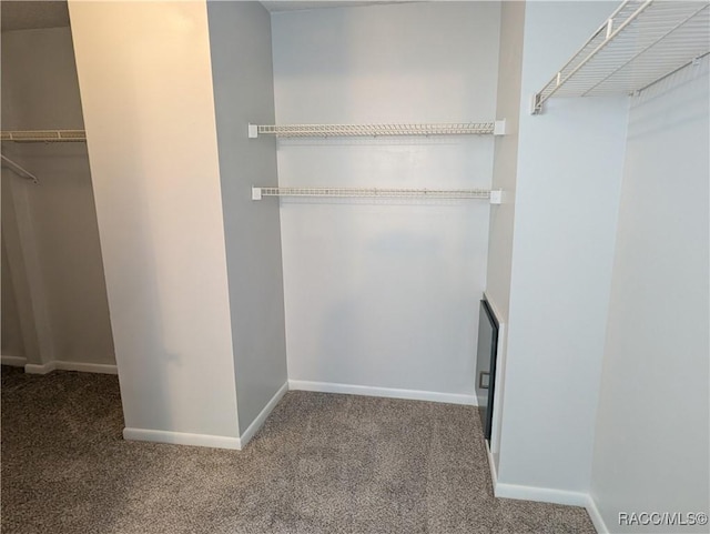 9781 E Goldfinch Ln, Inverness, FL 34450 - spacious closet with carpet