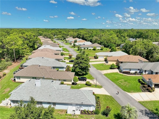 46 Byrsonima Loop W, Homosassa, FL 34446 - photo 37