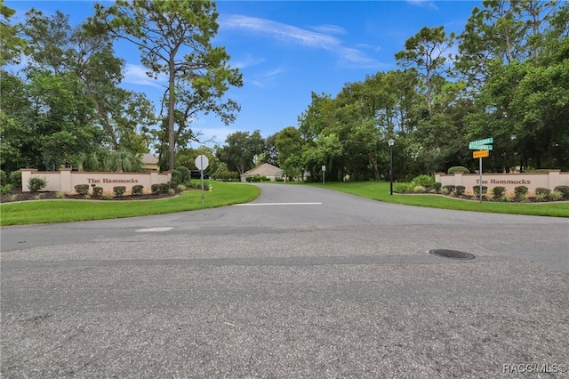 46 Byrsonima Loop W, Homosassa, FL 34446 - photo 59