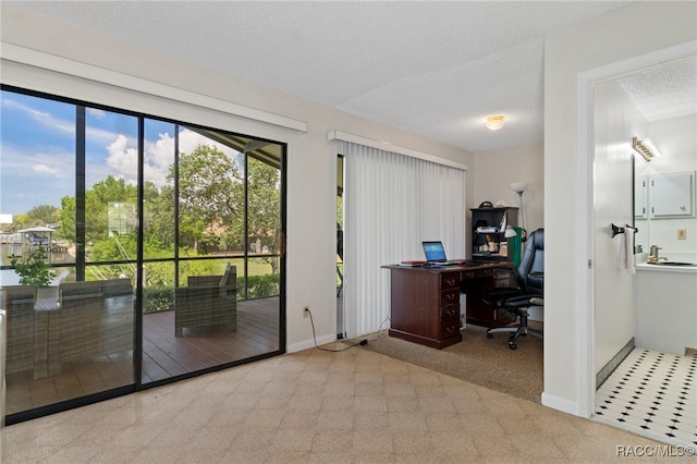 carpeted office space with a textured ceiling