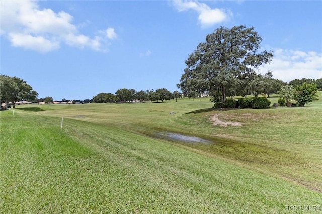 251 W Mickey Mantle Path, Hernando, FL 34442 - photo 39