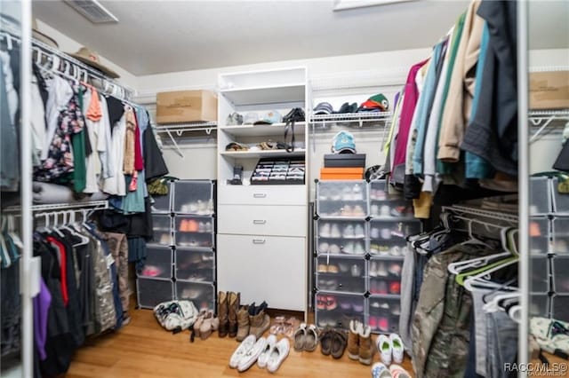 spacious closet with wood-type flooring