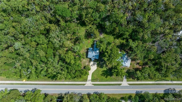 10170 W Yulee Dr, Homosassa, FL 34448 - photo 33